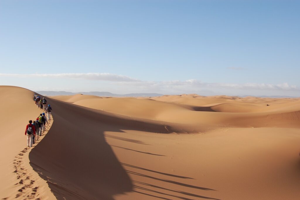 Sahara tourists