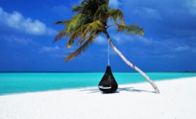 Beach tree hammock, Maldives